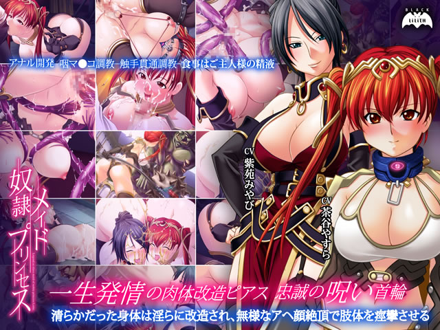 奴●メイドプリンセス [Lilith ［リリス］][inf_0030][パッケージ画像]